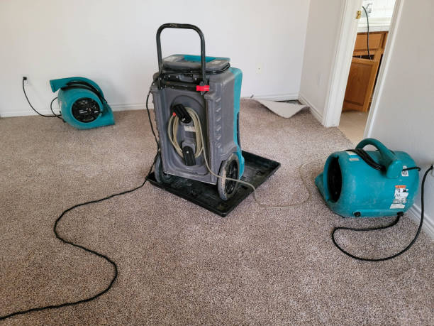 Best Water damage cleanup near me  in Granite Quarry, NC