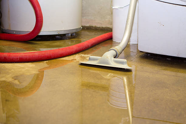 Best Professional water damage repair  in Granite Quarry, NC