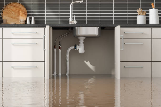 Best Flooded house restoration  in Granite Quarry, NC